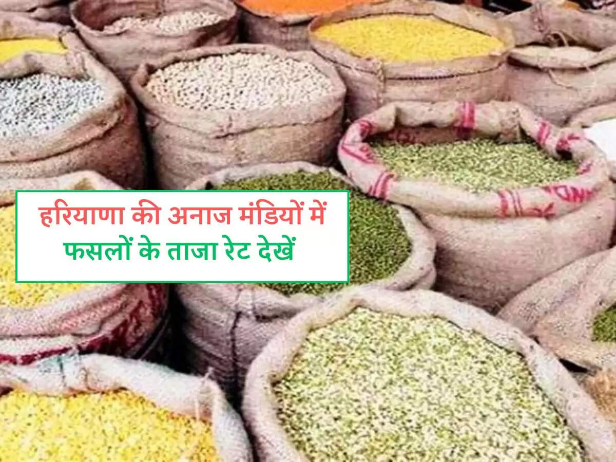 Haryana Mandi Bhav