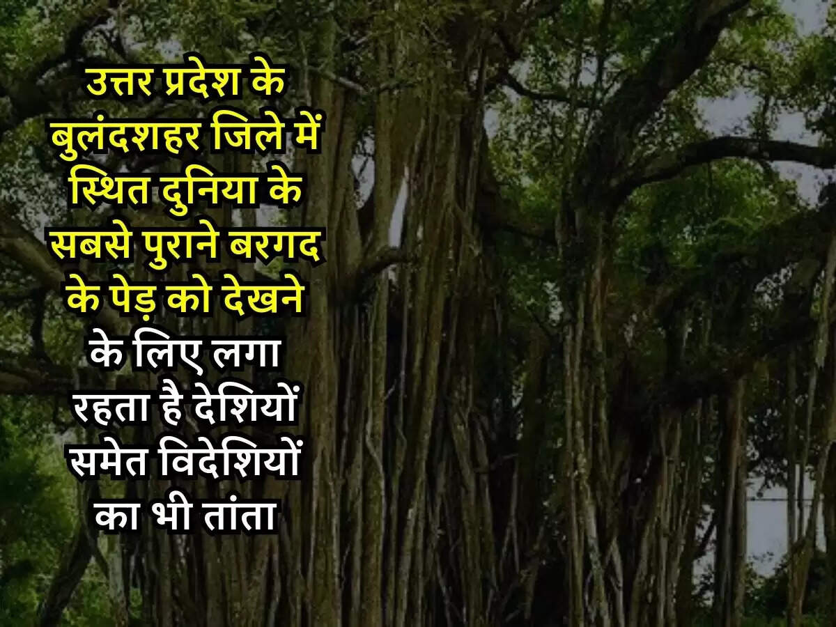 UP News